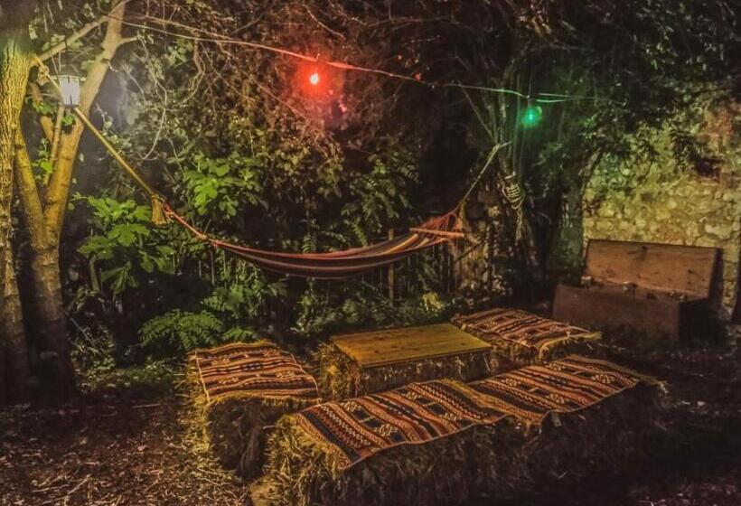 هاستل National Monument Mehmedbasica Kuca