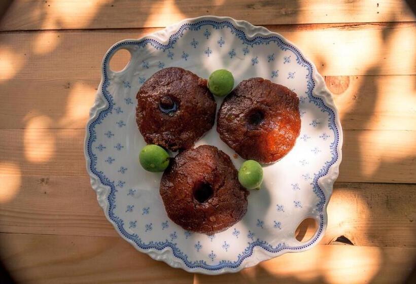 هاستل National Monument Mehmedbasica Kuca