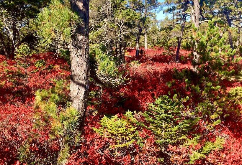 צימר Acadia Bay Inn