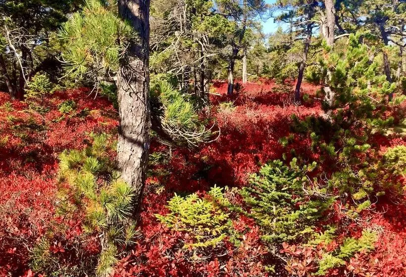 Aamiaismajoitus (B&B) Acadia Bay Inn