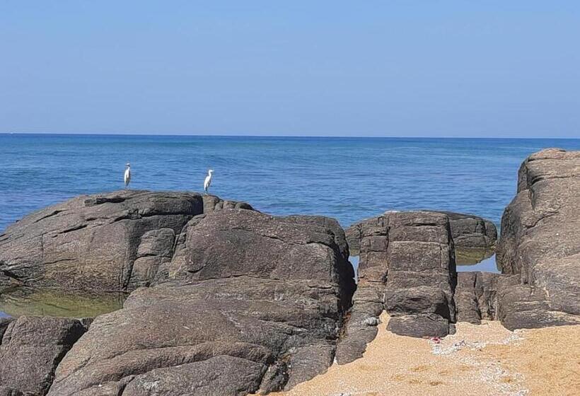 ペンション Ashen's Beach House