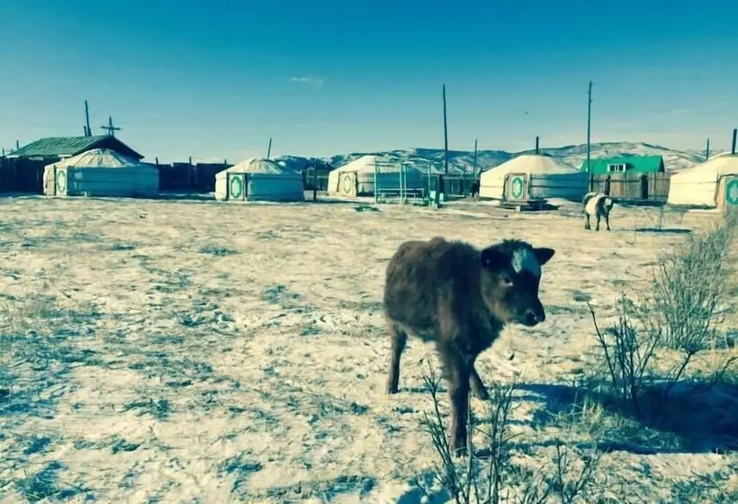 پانسیون Gaya S Guest House