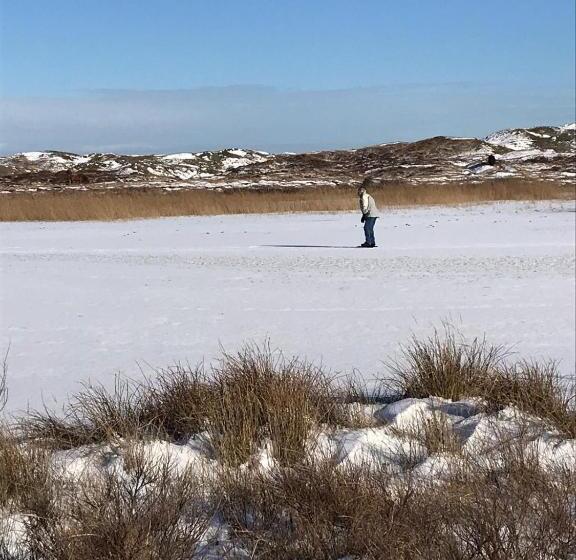 Bed and Breakfast Bed En Breakfast Kamers En Meer Het Spookhuis