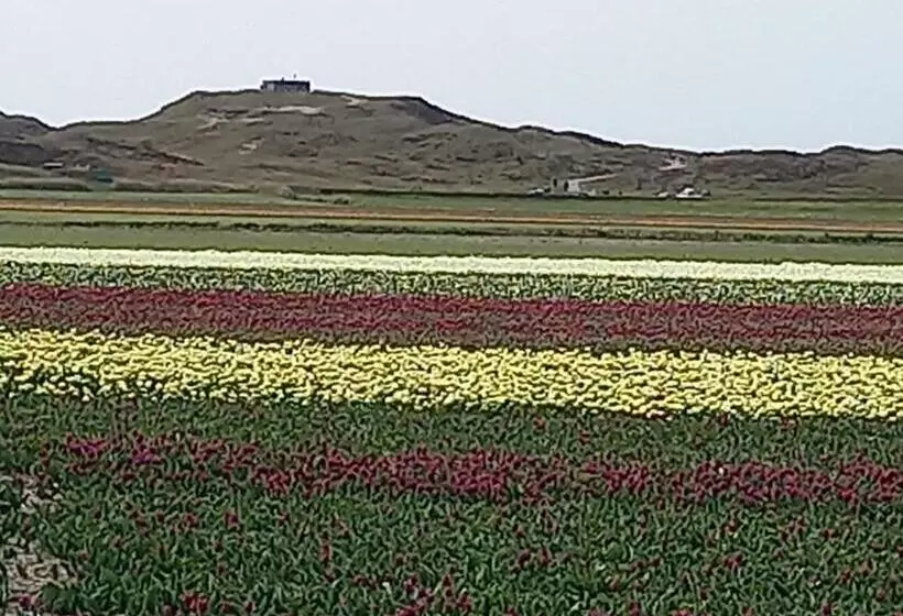 Aamiaismajoitus (B&B) Bed En Breakfast Kamers En Meer Het Spookhuis