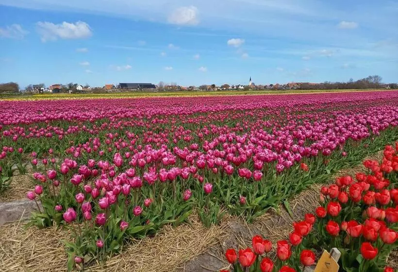 Aamiaismajoitus (B&B) Bed En Breakfast Kamers En Meer Het Spookhuis