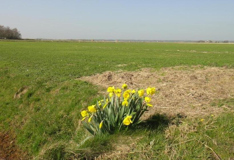 Bed and Breakfast Bed En Breakfast Kamers En Meer Het Spookhuis