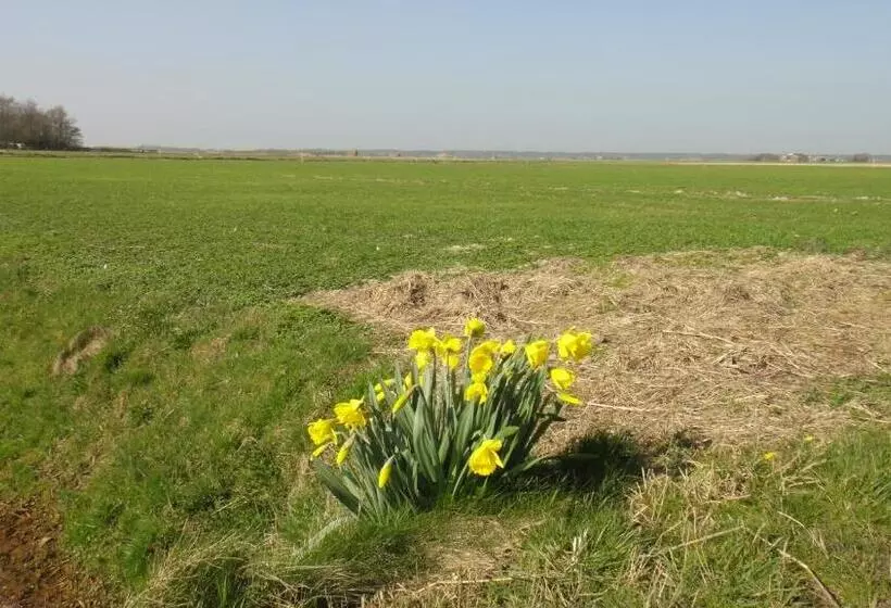 Aamiaismajoitus (B&B) Bed En Breakfast Kamers En Meer Het Spookhuis