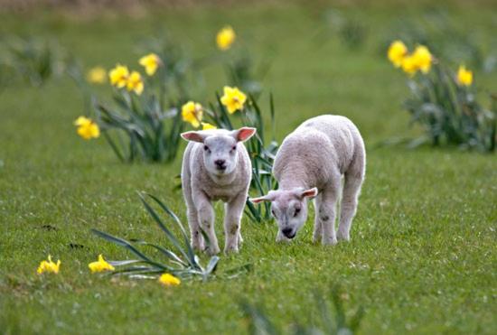 Bed and Breakfast Bed En Breakfast Kamers En Meer Het Spookhuis
