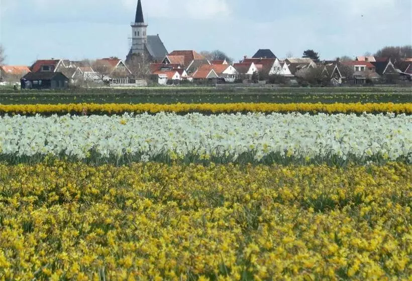 Aamiaismajoitus (B&B) Bed En Breakfast Kamers En Meer Het Spookhuis