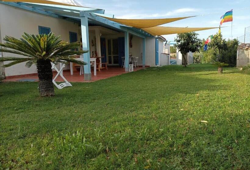 ベッドアンドブレックファースト Free Zone