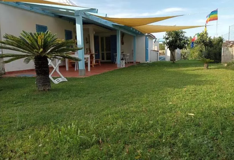 Bed and Breakfast Free Zone