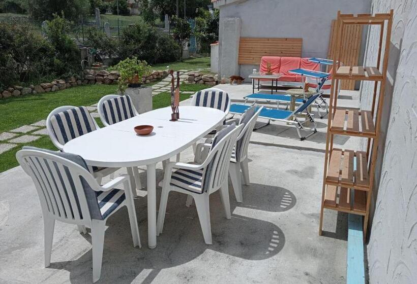 ベッドアンドブレックファースト Free Zone