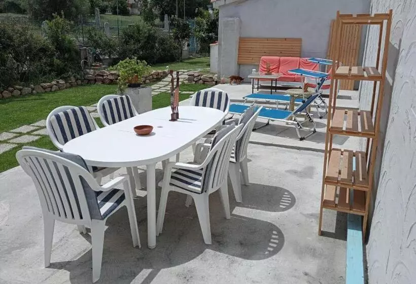 Bed and Breakfast Free Zone