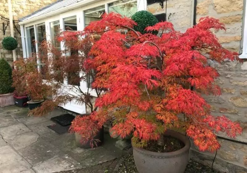 Aamiaismajoitus (B&B) Stilworth House