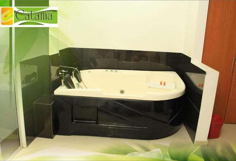 Отель Catama Inn