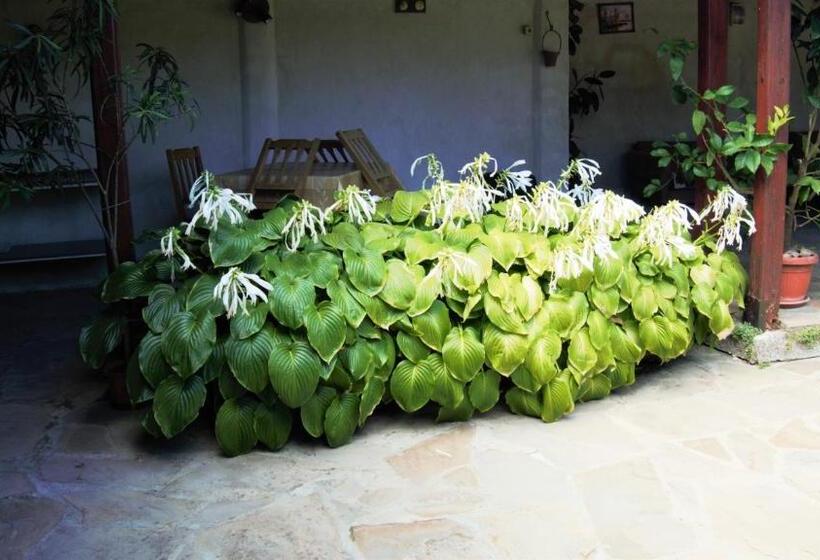 پانسیون Atanasovi House