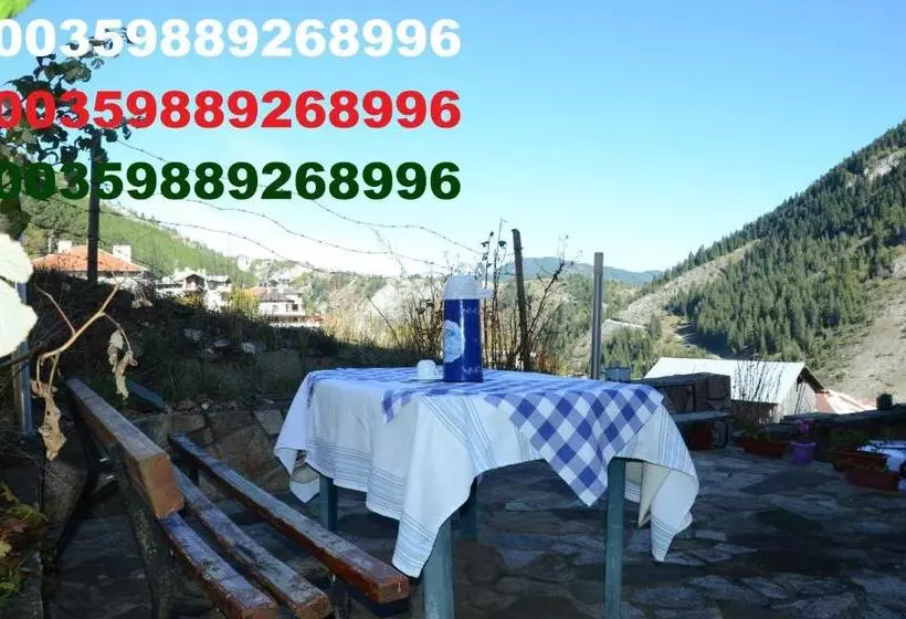 پانسیون Kristal Guest House