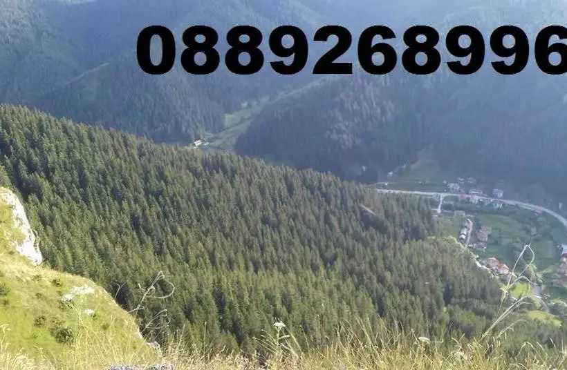 پانسیون Kristal Guest House