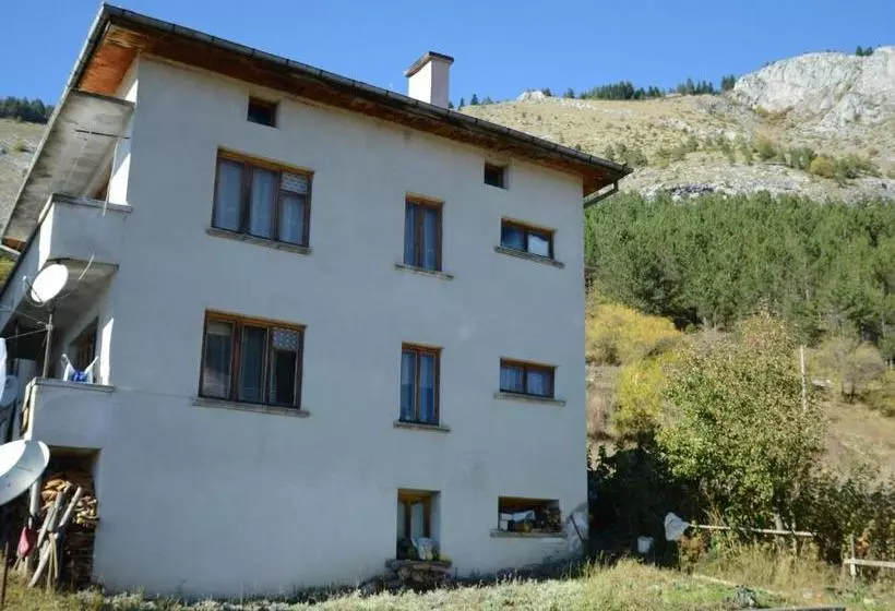 پانسیون Kristal Guest House