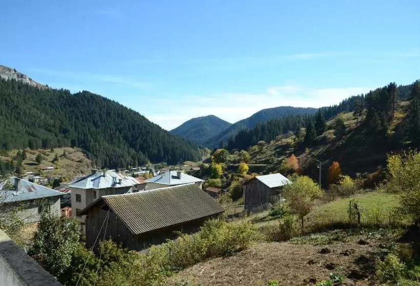 پانسیون Kristal Guest House