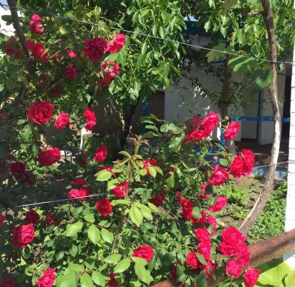 بنسيون La Lipoveni