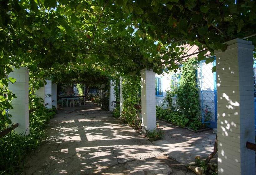 بنسيون La Lipoveni