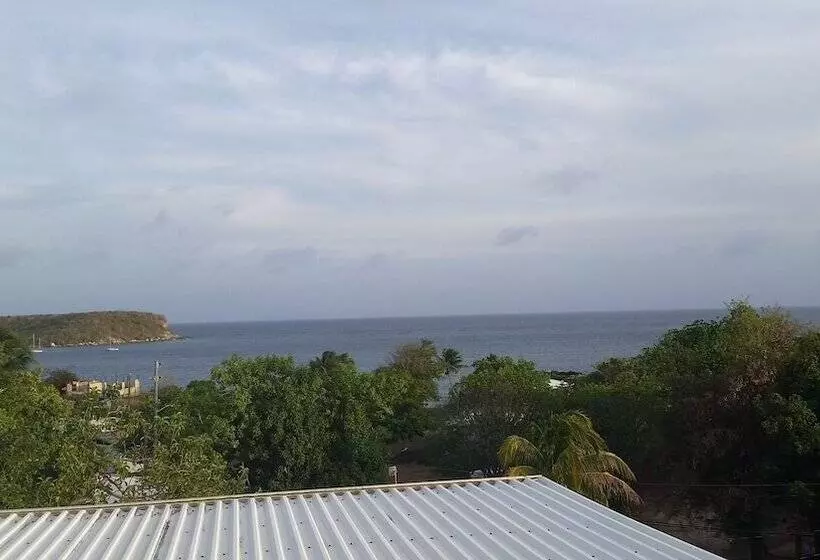 پانسیون The Vieques Guesthouse