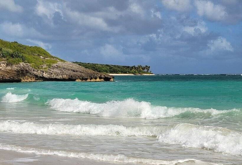 پانسیون The Vieques Guesthouse