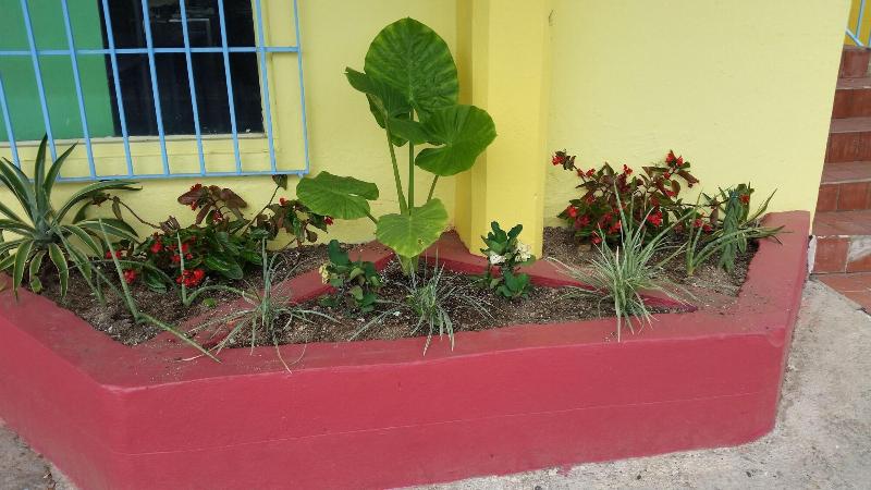 پانسیون The Vieques Guesthouse