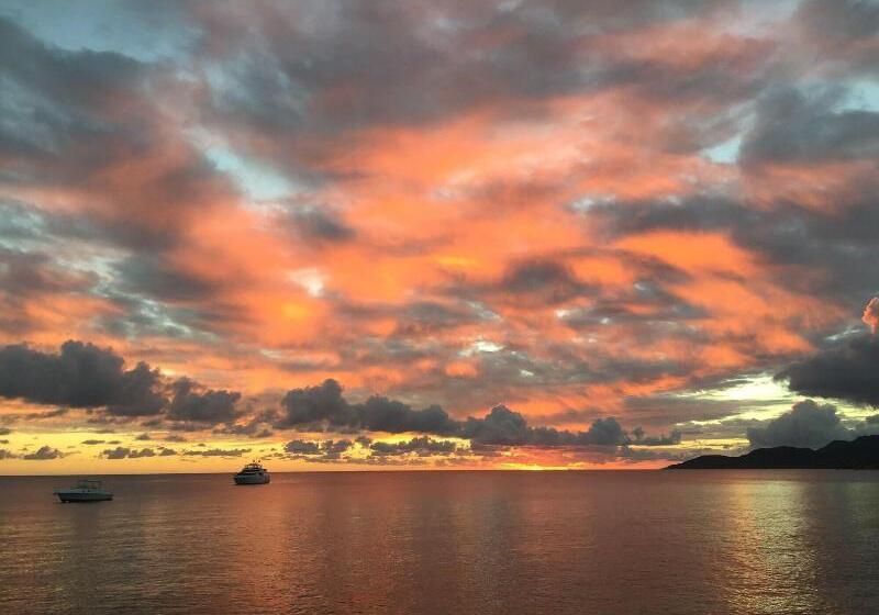 پانسیون The Vieques Guesthouse