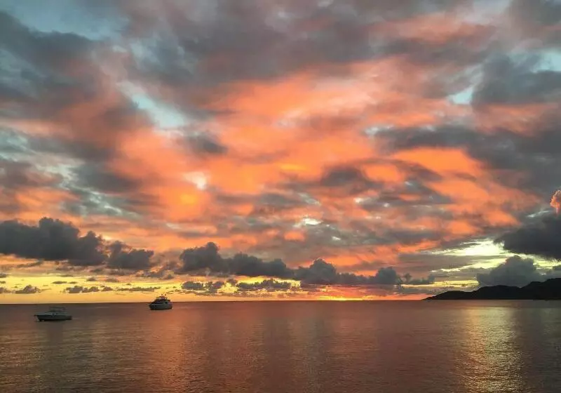 پانسیون The Vieques Guesthouse