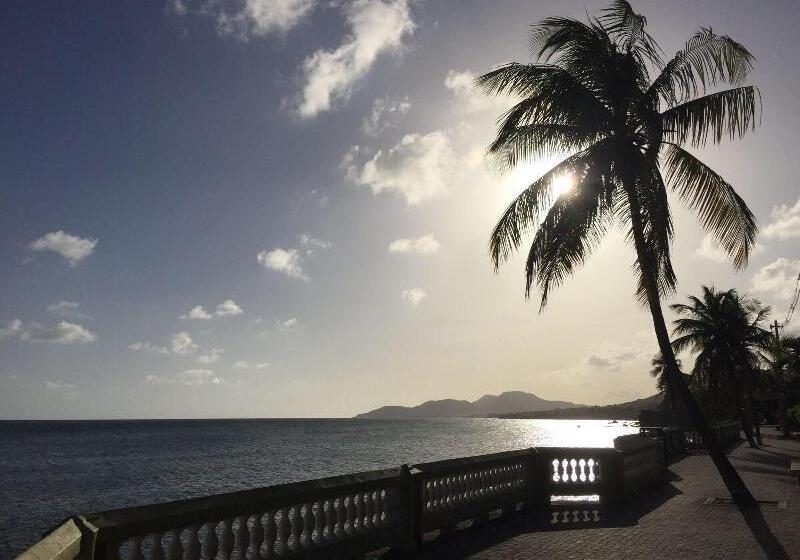 پانسیون The Vieques Guesthouse