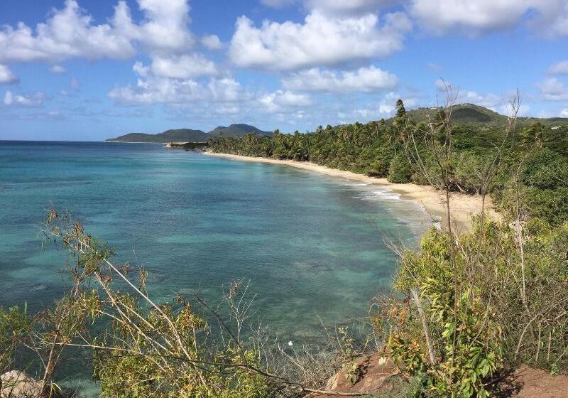 پانسیون The Vieques Guesthouse