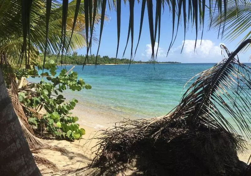 پانسیون The Vieques Guesthouse