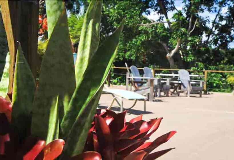 پانسیون Villa Coral Guesthouse