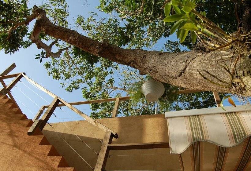 پانسیون Villa Coral Guesthouse