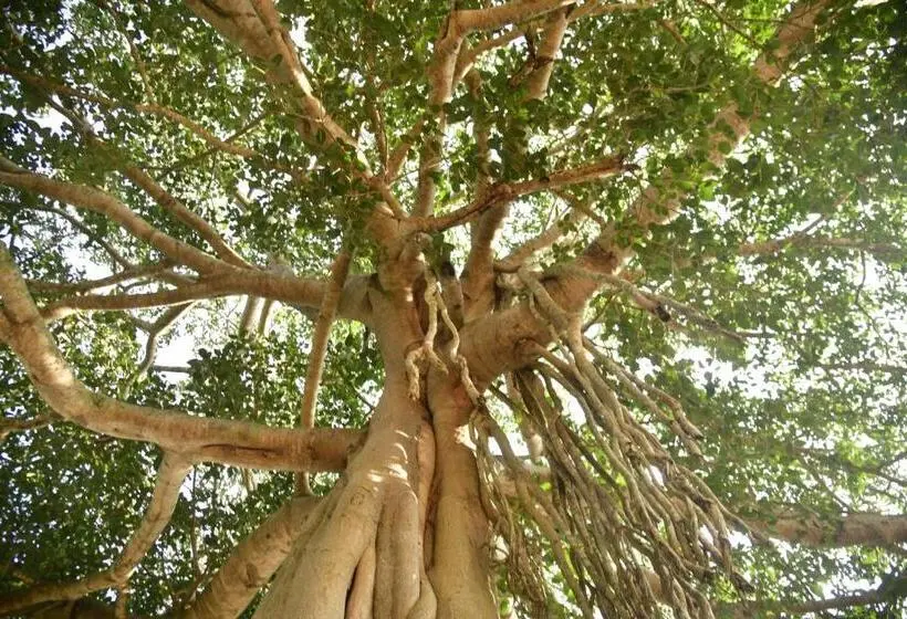 ペンション Evergreen Resort Udawalawe