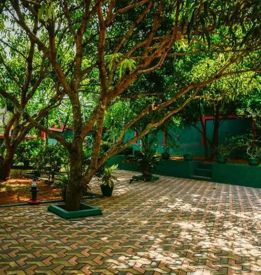 ペンション Evergreen Resort Udawalawe