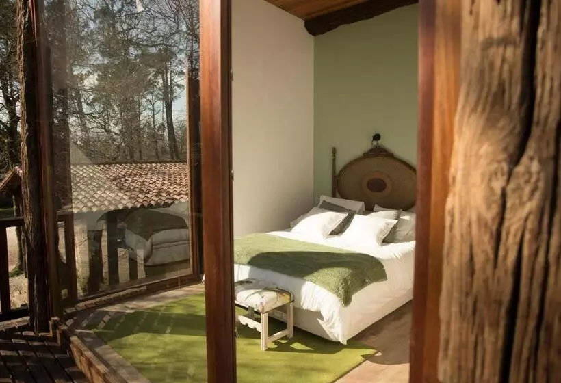Albergue Bergando