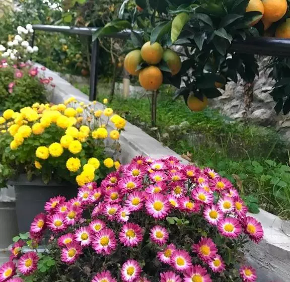 ベッドアンドブレックファースト Grandpa’s Home