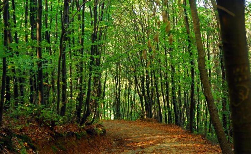 فندق Park Polonezkoy