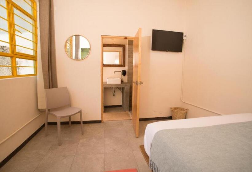 پانسیون Cactus