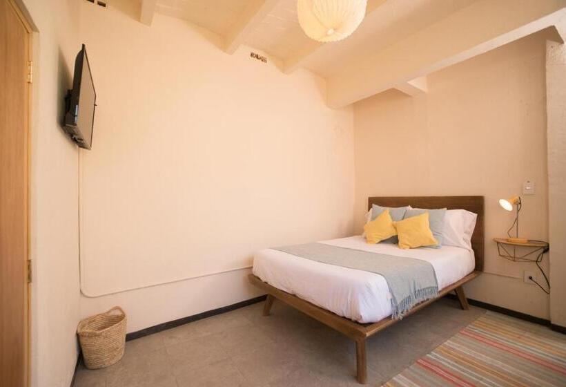 پانسیون Cactus