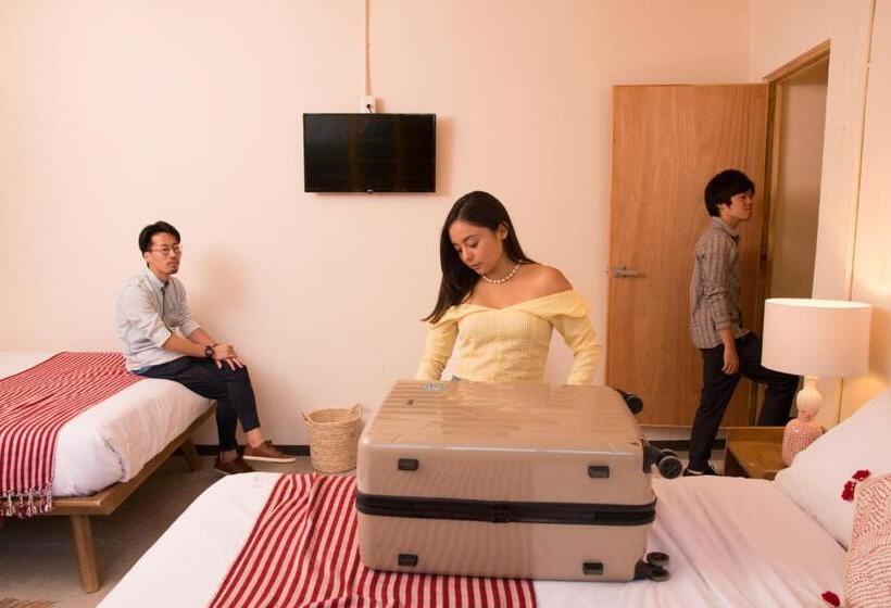 پانسیون Cactus