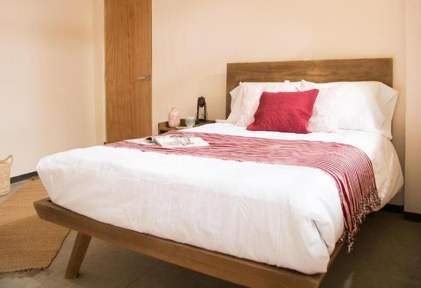 پانسیون Cactus