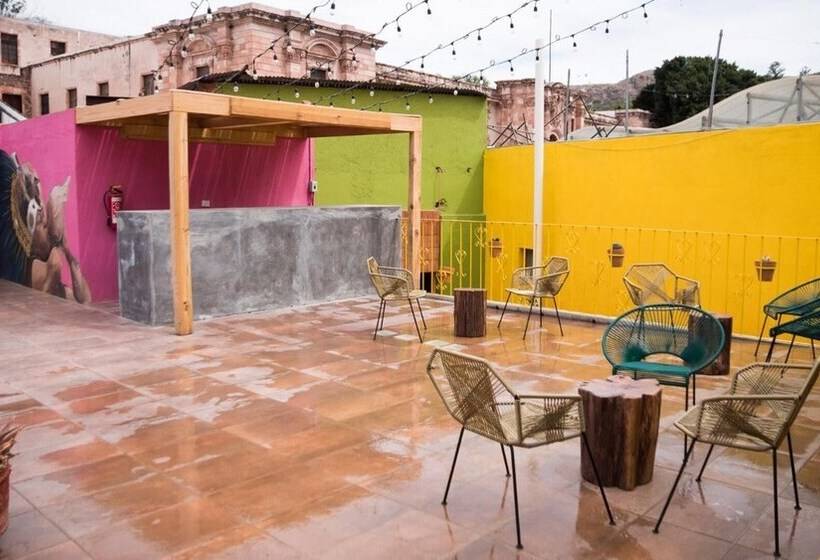 پانسیون Cactus