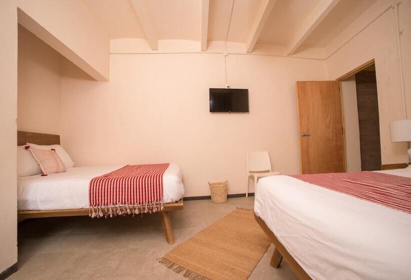 پانسیون Cactus