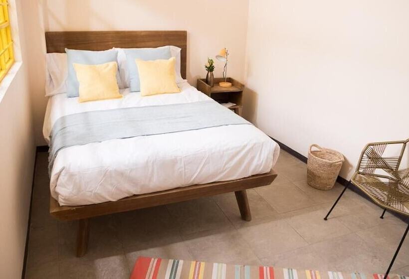 پانسیون Cactus