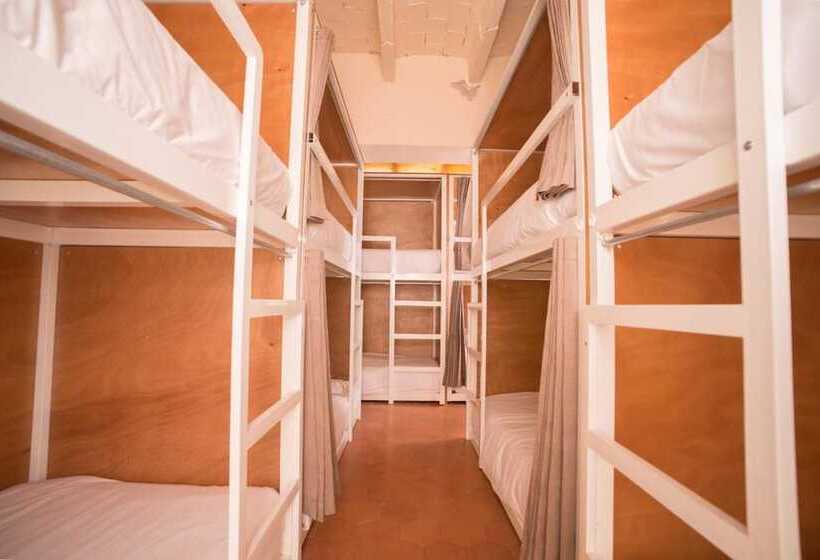 پانسیون Cactus