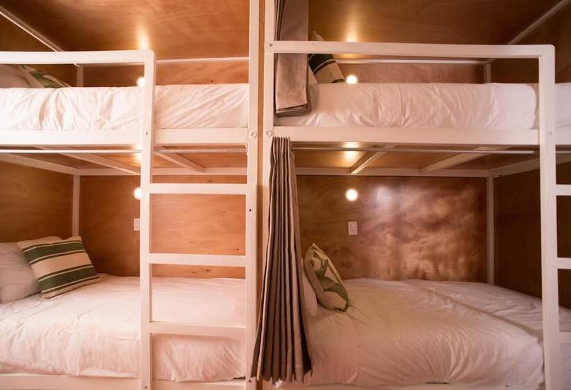 پانسیون Cactus